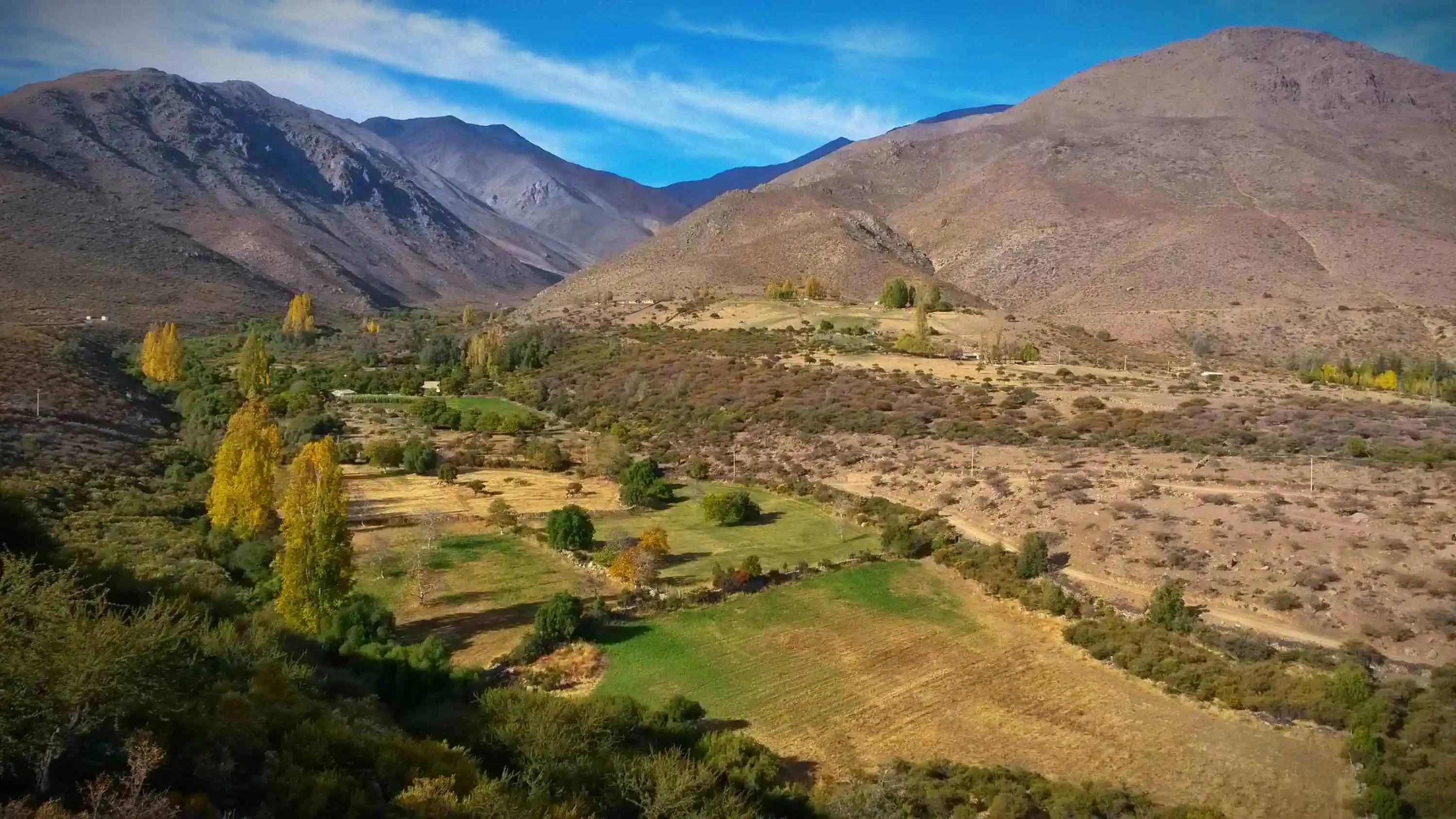 Granja Gallina Feliz